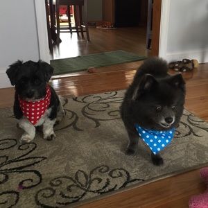 Meet your Posher, Patricia